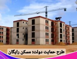 طرح‌ حمایتی دولت